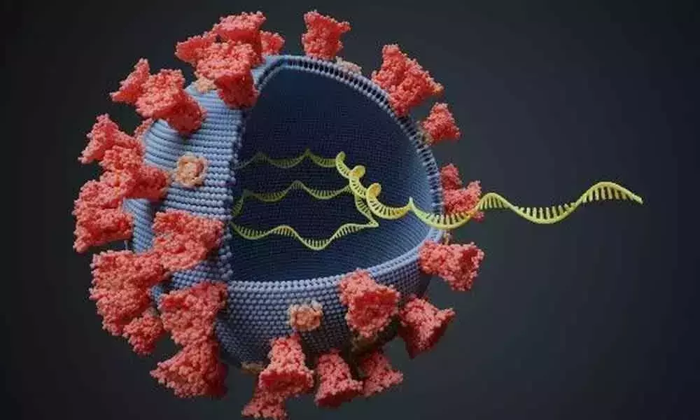 274 new Coronavirus Cases Reported in Telangana 274 new Coronavirus Cases Reported in Telangana