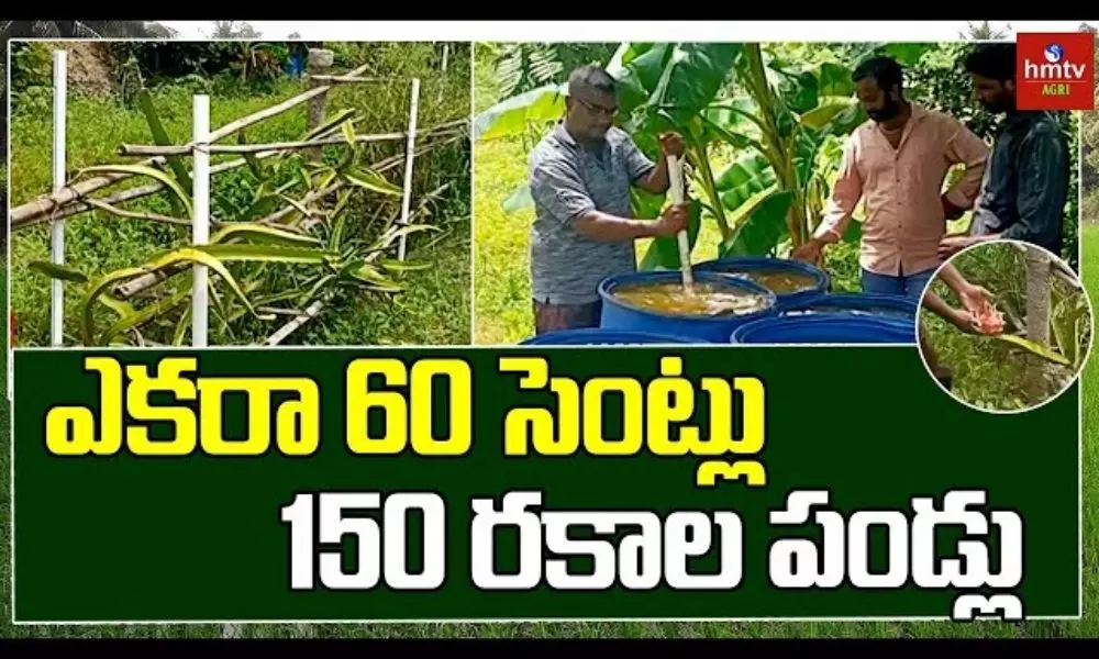 Srikakulam Farmer Jayaram Innovative Farming