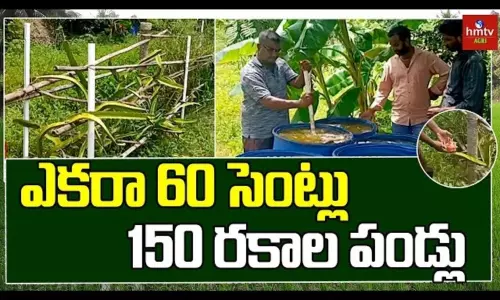 Srikakulam Farmer Jayaram Innovative Farming