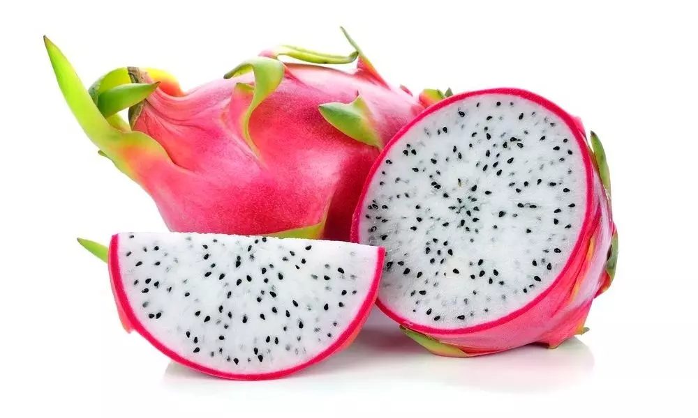 Dragon Fruit Health Benefits for Diabetes Patients in Telugu | Health Care Tips
