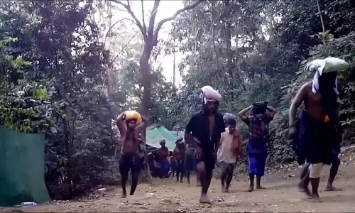 Sabarimala Karimala Forest Path Closing in Afternoon Sabarimala Karimala Forest Path Closing in Afternoon