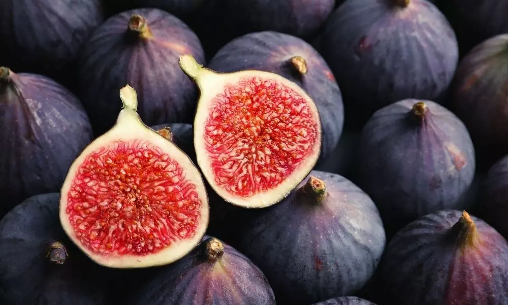 Figs should not be Eaten by People with these Diseases | Health Care Tips