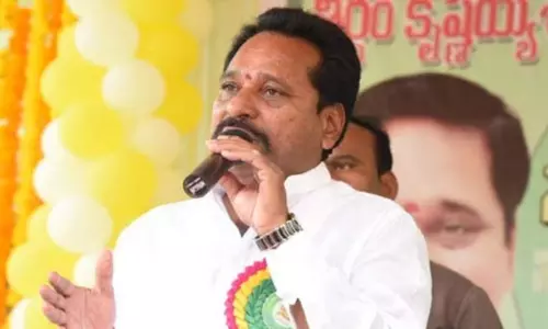 TDP  Leader Amaranatha Reddy Comments on AP Minister Peddireddy Ramachandra Reddy
