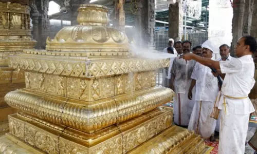 TTD Cleansing Program on the Occasion of Vaikuntha Ekadashi | AP News Today TTD Cleansing Program on the Occasion of Vaikuntha Ekadashi | AP News Today