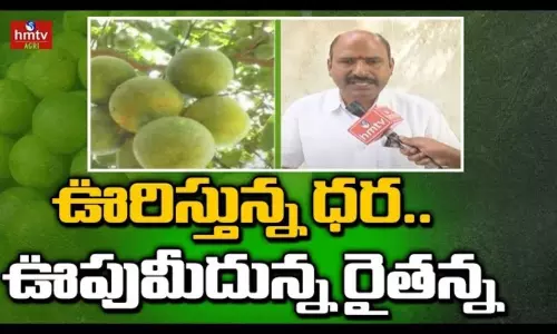 Orange Farming Benefits in Nalgonda District