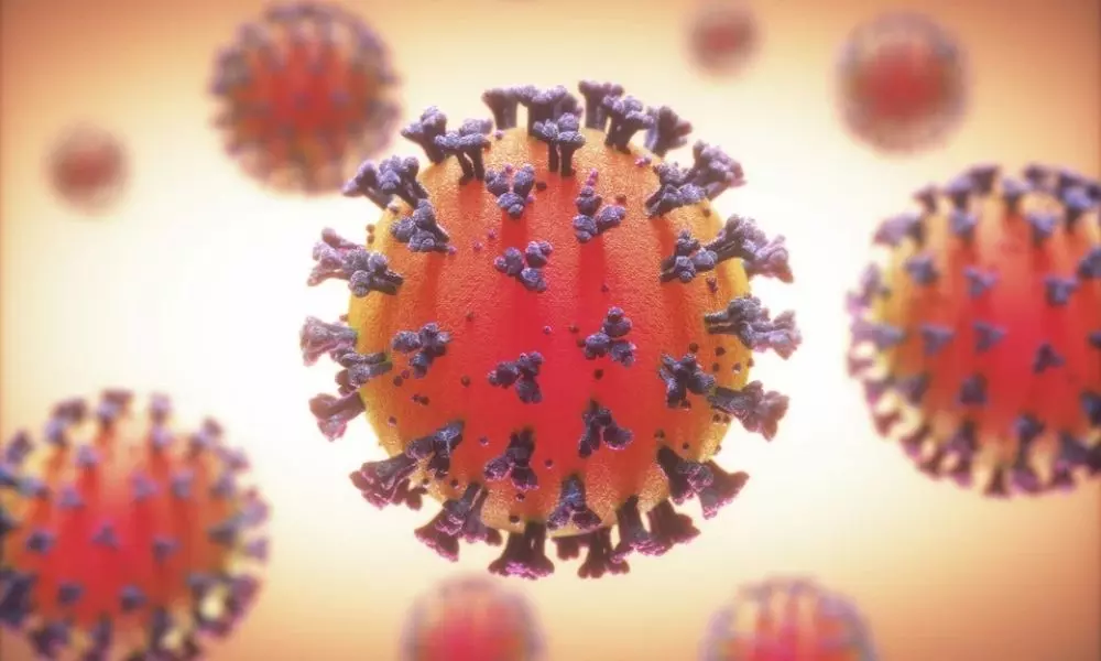 Coronavirus Loses Ability to Infect Within 5 Minutes
