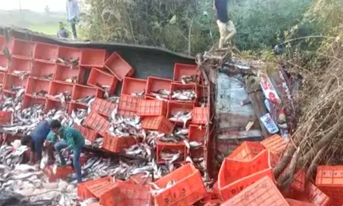 Road Accident in West Godavari district