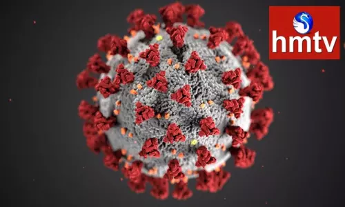 Corona Cases In India Corona Cases In India