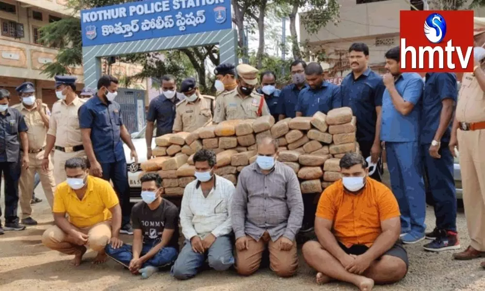 Cannabis Seized in Rangareddy District | TS News Today