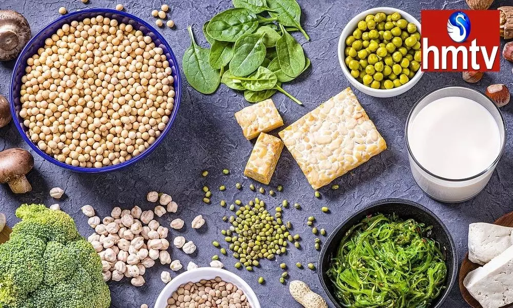 Natural Vegetarian Food for Protein: Milk Soybean Paneer Pulses Peanut Etc Protein Rich Foods