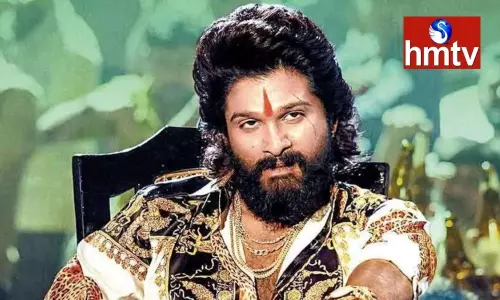 Allu Arjun Film Pushpa Hindi Version Collection | Tollywood News Today