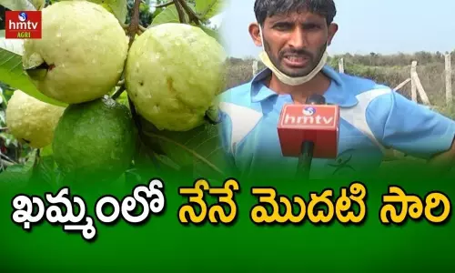 Honey Bee Farming In Khammam Success story of young farmer