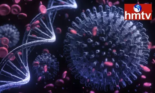 The new variant of the tension is Neocov