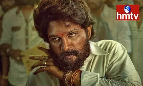 Producers Promoting The  Pushpa Movie with New Strategies | Telugu Movie News