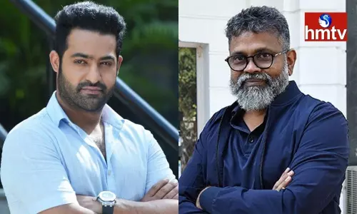 Sukumar is Interfering in Jr NTR Movie | Telugu Movie News