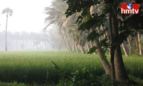 Fog  in West Godavari District | AP News Today