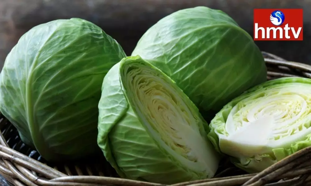 Cabbage is best for people with calcium deficiency