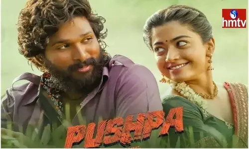 No Celebrations for Allu Arjuns Blockbuster Pushpa?