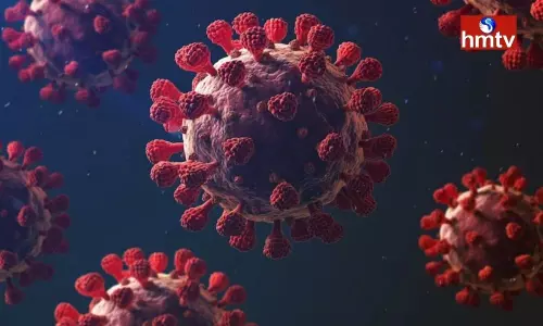 Slightly increased corona cases and deaths in the country