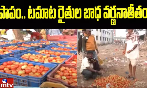 Sadly The Suffering Of Tomato Farmers is Indescribable