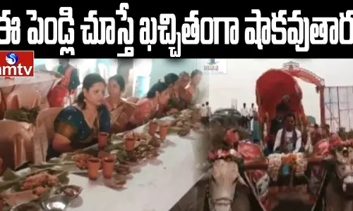 Will Definitely Be Shocked To See This Wedding Will Definitely Be Shocked To See This Wedding