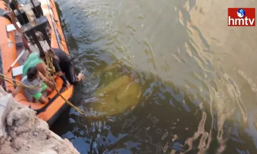 Major Accident in Rajasthan Car Fell in Chambal River