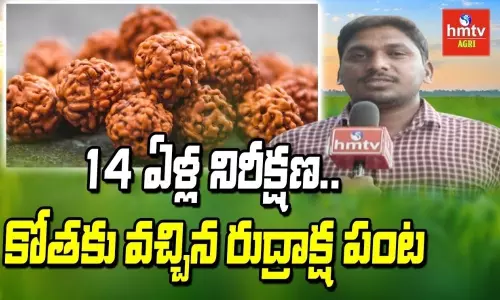 Rudraksha Cultivation in karimnagar