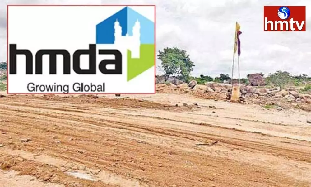 The Sector is Ready for the Auction of Government Lands in Telangana