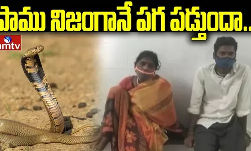 Does The Snake Really Take Revenge