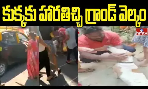 Jordar News: కుక్కకు హారతిచ్చి గ్రాండ్ వెల్కం