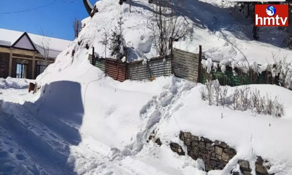 Shimla Receives Fresh Snowfall