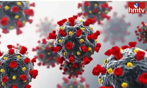 COVID-19 Fourth Wave Likely To Hit India Around June 22