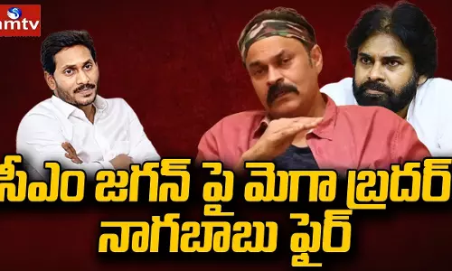Mega Brother Nagababu Fires on CM Jagan