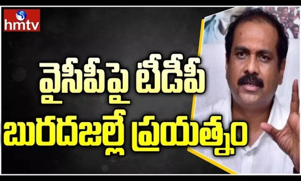 Minister Kannababu Fires On TDP Leaders