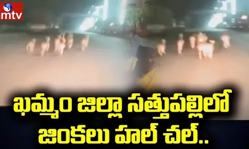 Deer in Sattupalli  Khammam District