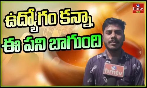 Success Story Of Young Farmers In Honey Bee