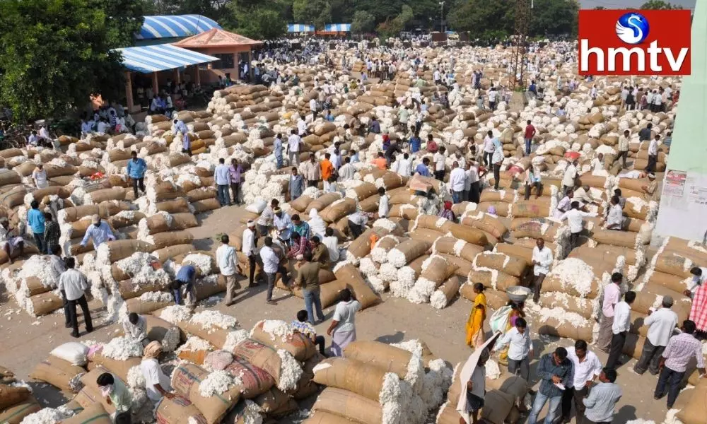 Warangal Enumamula Market Cotton Price Today | TS News Today