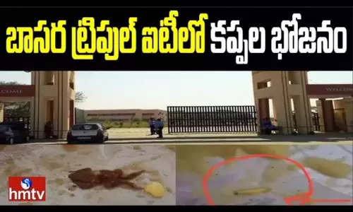 Frog Meal at Basra Triple IT