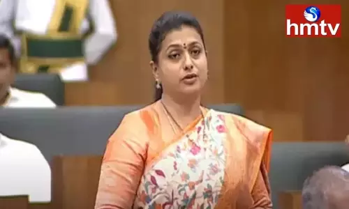 MLA Roja Fires on TDP | AP News Today