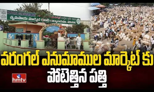 Record Cotton Price in Warangal Cotton Market Record Cotton Price in Warangal Cotton Market