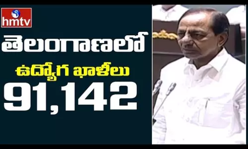 91,142 Job Vacancies in Telangana 91,142 Job Vacancies in Telangana