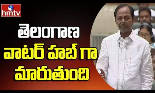 Telangana Will Become a Water Hub