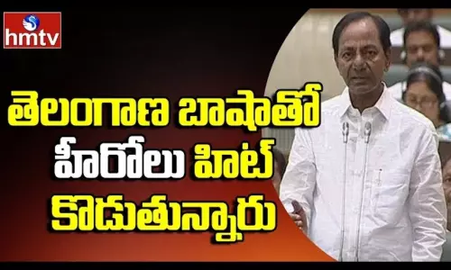 Heroes are Hitting With Telangana Language