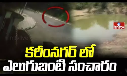 Bear Hulchul in Karimnagar