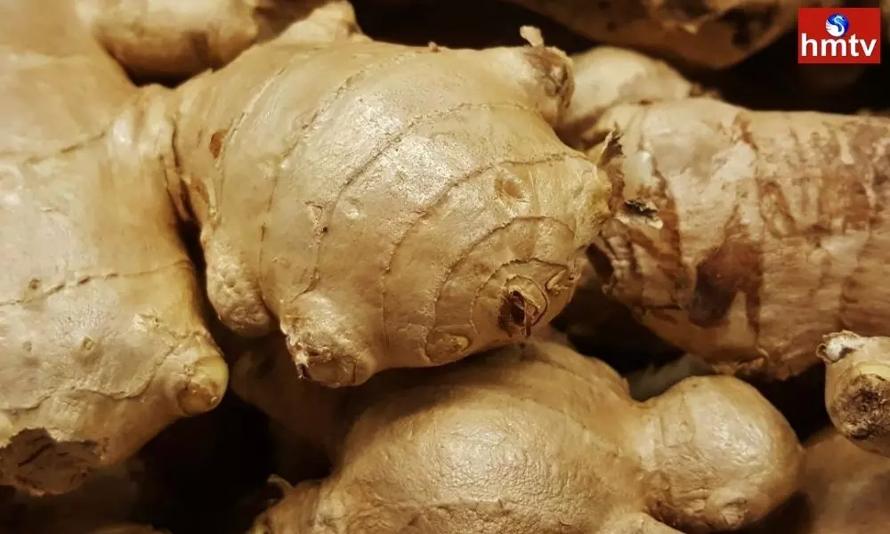 Do You Know The Benefits of Eating Green Ginger for Men | Ginger Health Benefits