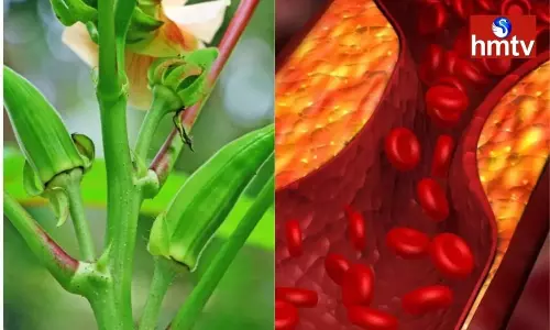 These are the Vegetables that Lower Cholesterol and Cleanse the Blood Vessels These are the Vegetables that Lower Cholesterol and Cleanse the Blood Vessels