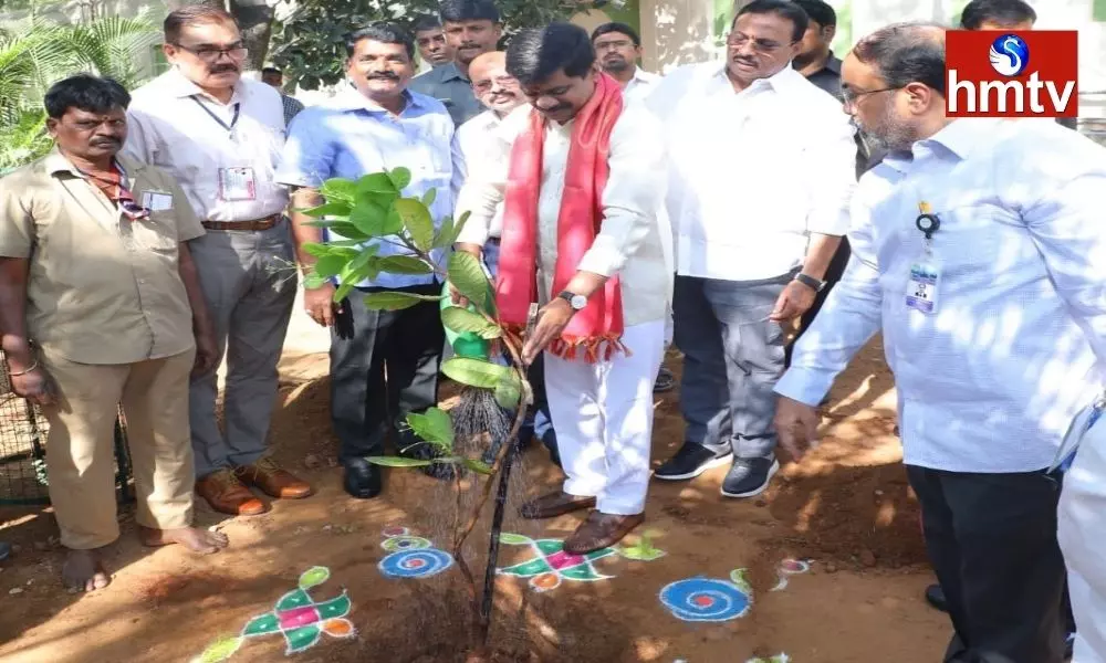 Minister Prashant Reddy Planted a Tree in the Assembly Hall | TS News Today