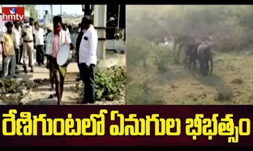 Chittoor Renigunta Elephants