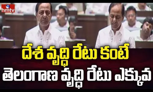 CM KCR about Telangana GDP
