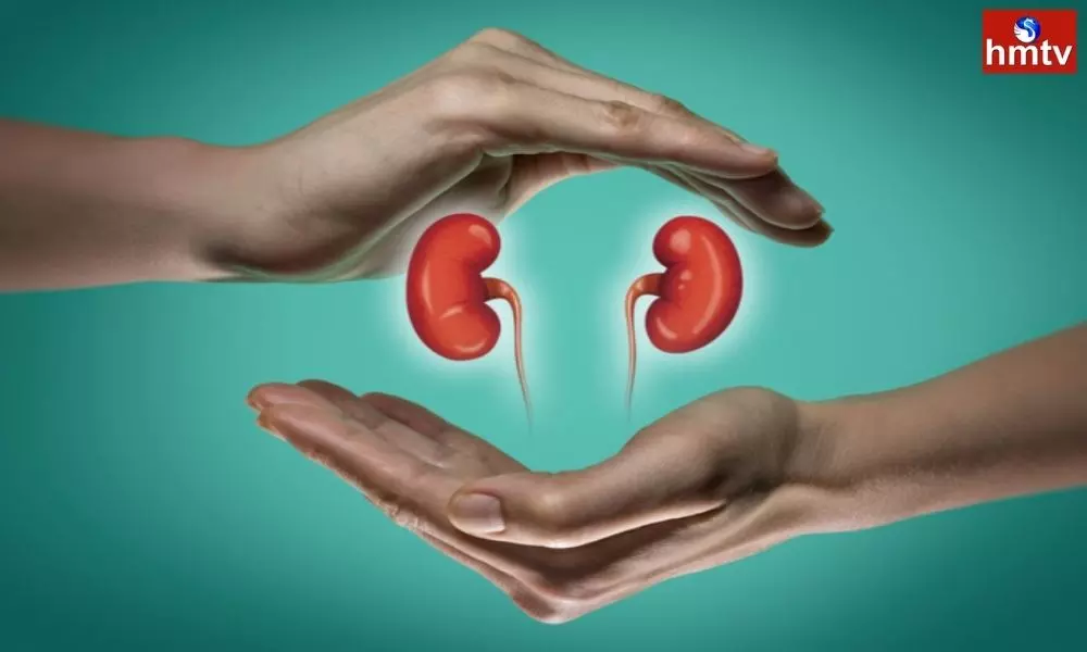 Health News Symptoms of Kidney Failure and Treatment